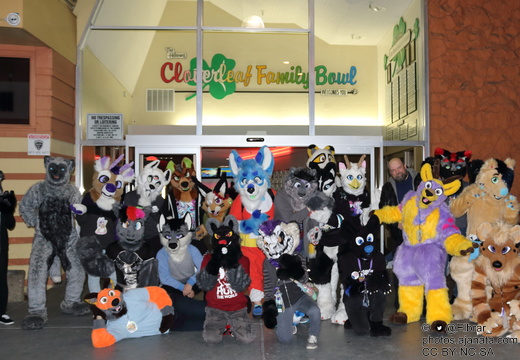 Fremont Furbowl February 2017 - display this album Fremont Furbowl February 2017