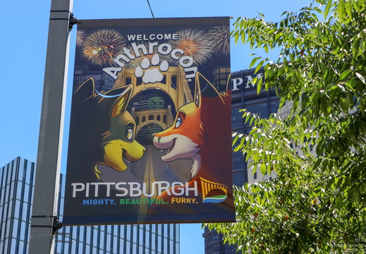 Anthrocon 2018 - display this album Anthrocon 2018