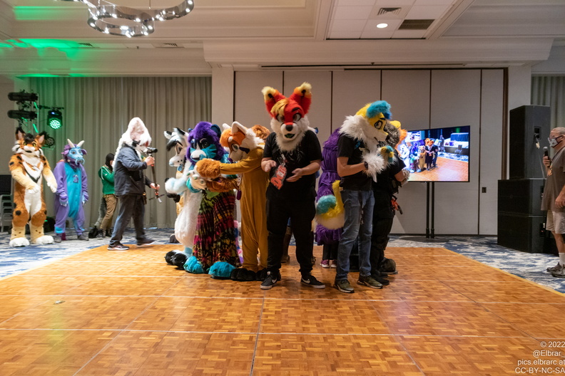 IMG 4844