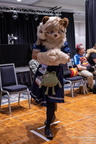 IMG 3995