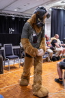 IMG 4034