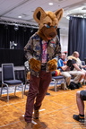IMG 4043