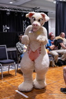 IMG 4053