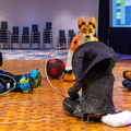 IMG 4183