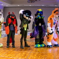 IMG 4205-Pano