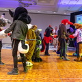 IMG 4212