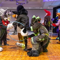 IMG 4215
