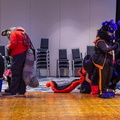 IMG 4221