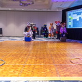 IMG 4233