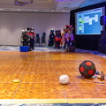 IMG 4246