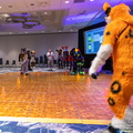 IMG 4249