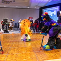 IMG 4252