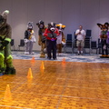 IMG 4254
