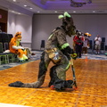 IMG 4257