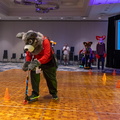 IMG 4260