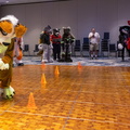 IMG 4270