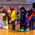 IMG 4291