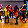 IMG 4295