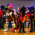 IMG 4299