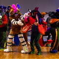 IMG 4300