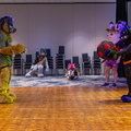 IMG 4316