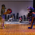 IMG 4318
