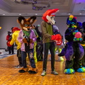 IMG 4332