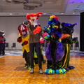 IMG 4334